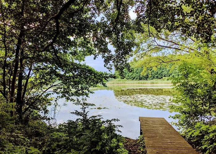 Ferienhaus am See